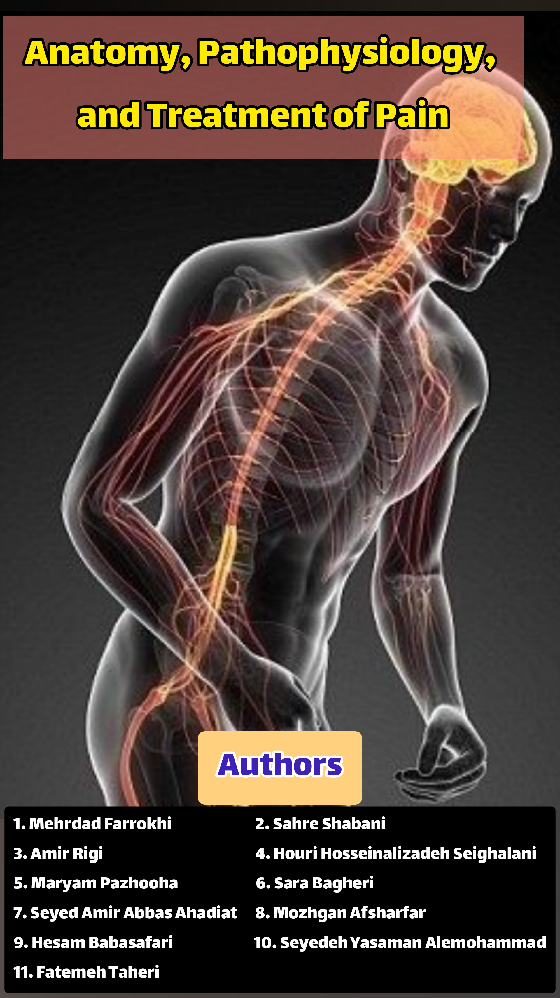 Academic Textbook: Anatomy, Pathophysiology, and Treatment of Pain